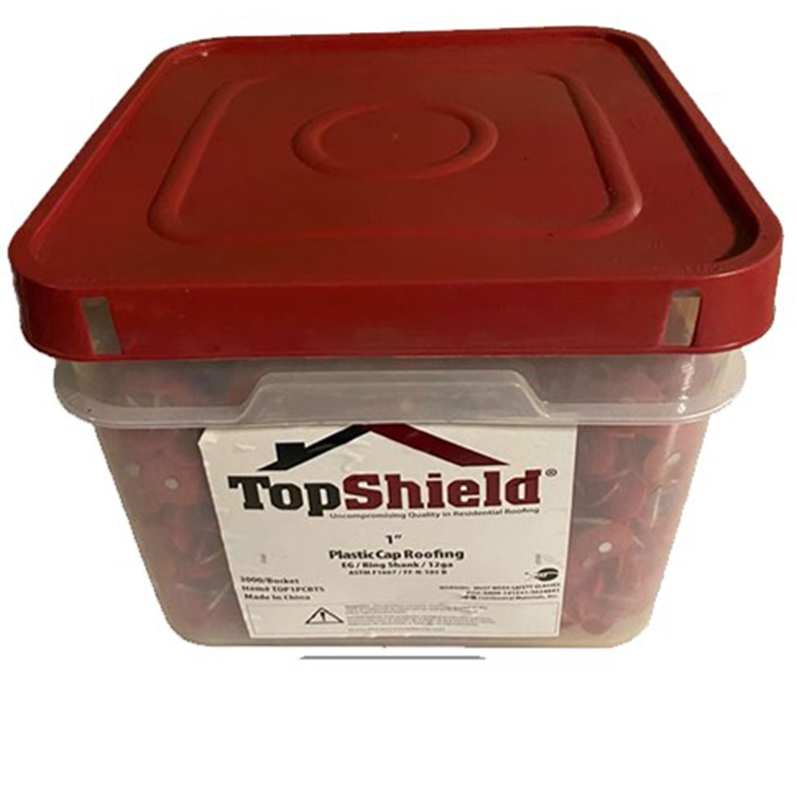 Plastic Round Cap Roofing Nail (3000-Pack)